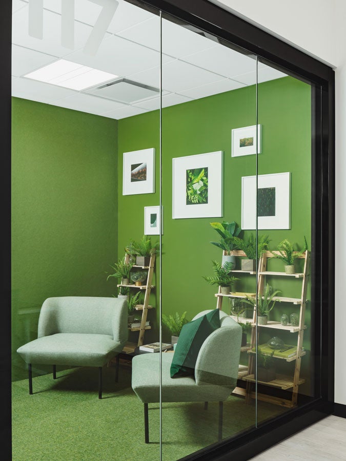 Green Zoom Room